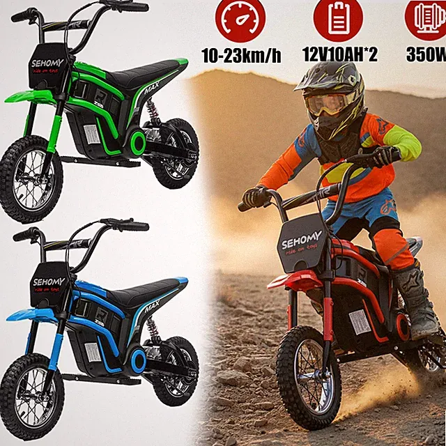 12V 350W Electric Dirt Bike for Kids 14.3mph Max Speed 12" Air-Filled Tires Xmas