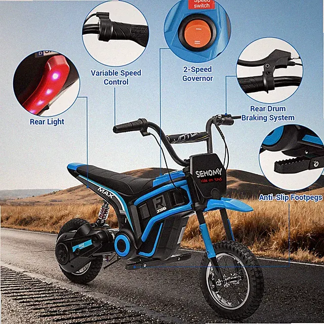 24V 350W Children's Electric Mountain Motorbike Two-wheel For Kids 8-12 Years