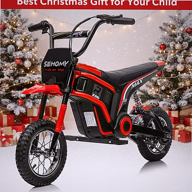 24V 350W Electric Dirt Bike Off-Road Electric Motorcycle Red for Kids 8-12 Years