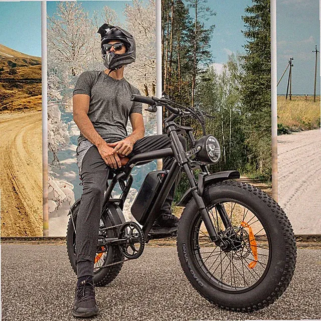 NEW 20" FAT TIRE ADULTS ELECTRIC BIKE 1500W 33MPH 48V 15.6AH MOUNTAIN EBIKE US