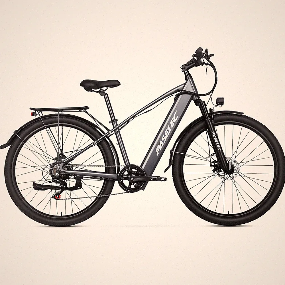 Paselec 29'' Electric Bicycle 1000W Peak 48V 16Ah City E-Bike MTB 7 Speed 60mile