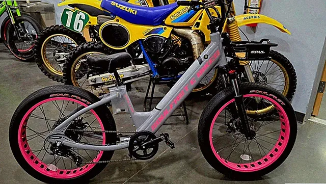 SHARK GREY / PINK Electric Bike 750W 48V Ebike SOULFAST 24" SOUL LOW